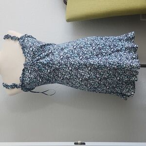 Sweet Pot fully lined rayon dress